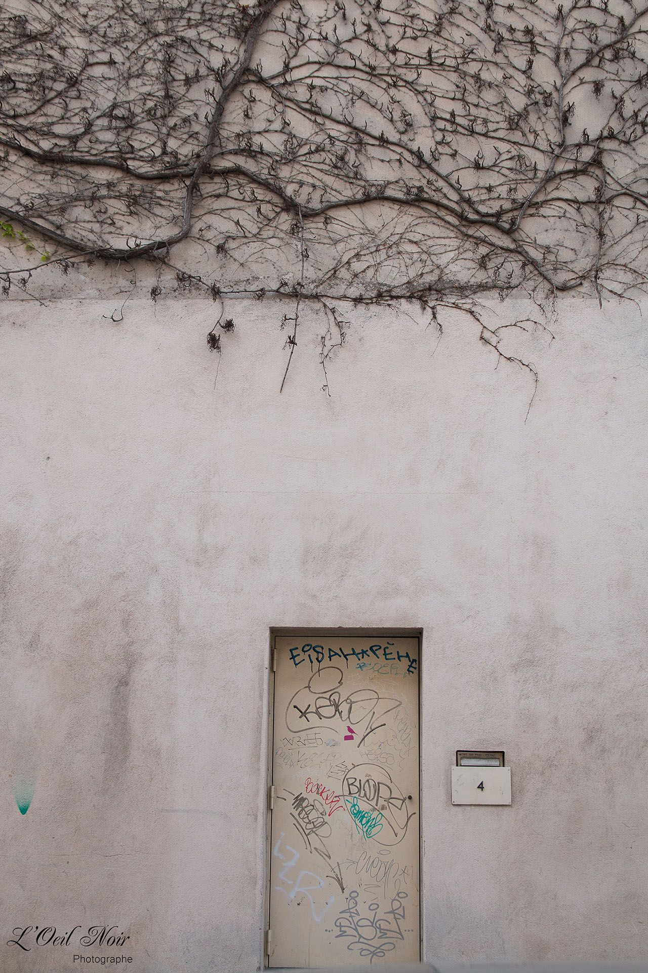 L' Oeil Noir Photographe